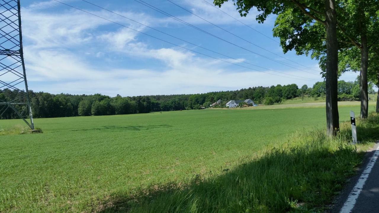Ferienwohnung "Am Weinberg" Bad Schmiedeberg Bagian luar foto