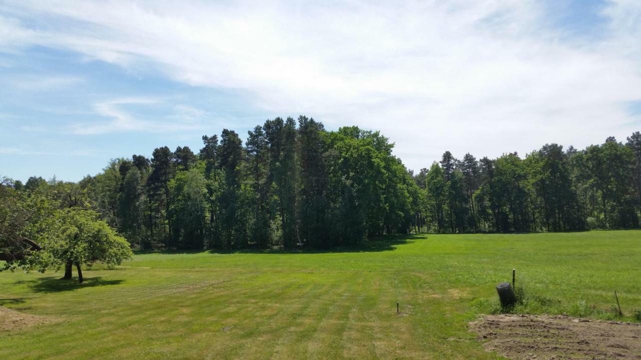 Ferienwohnung "Am Weinberg" Bad Schmiedeberg Bagian luar foto